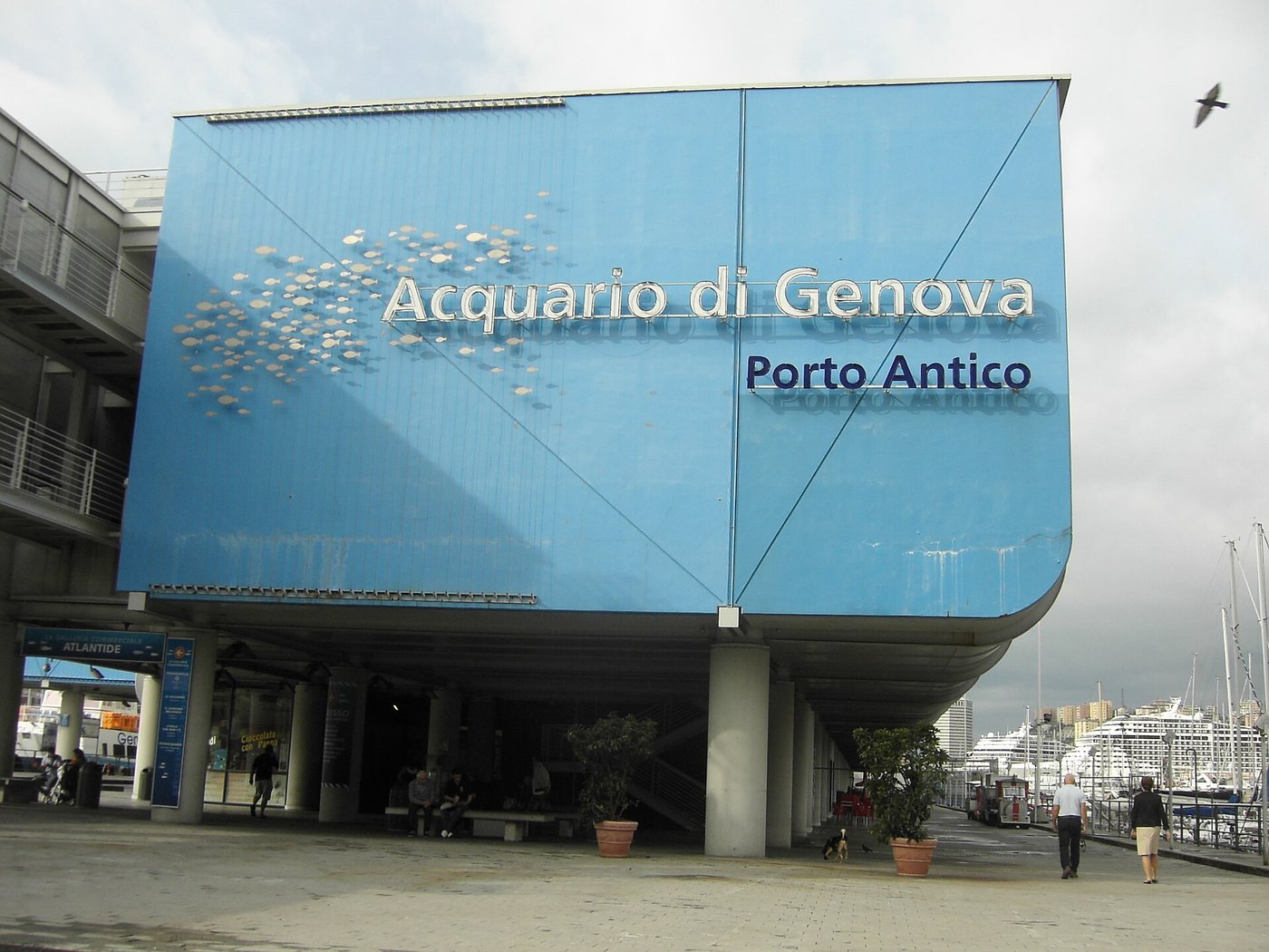 Acquario di Genova, Genova