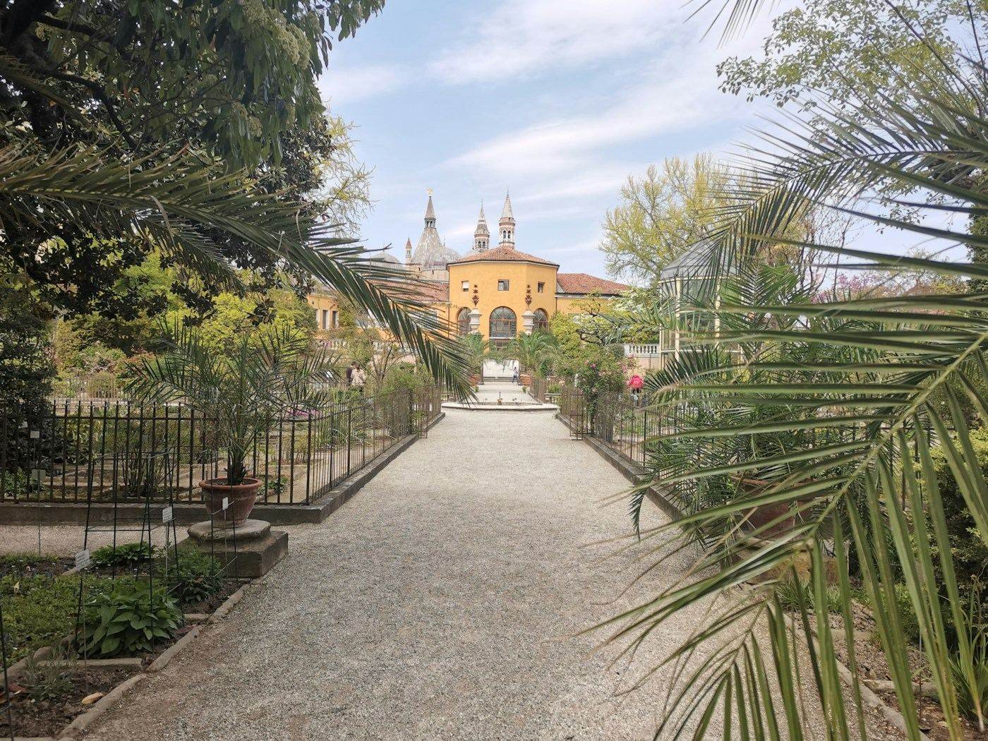 Orto Botanico di Padova, Padova