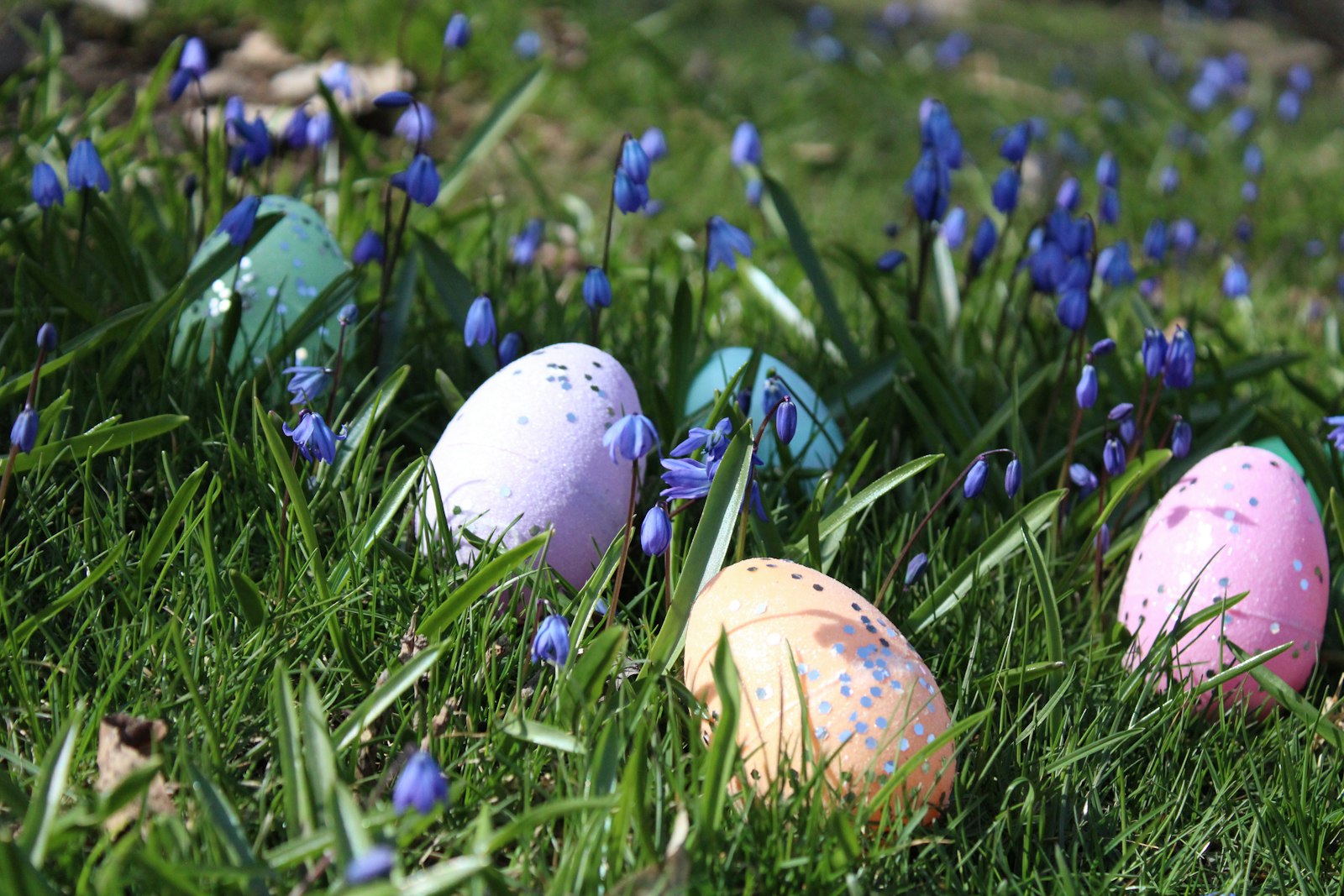 Uova decorate nell'erba fra i fiori di primavera
